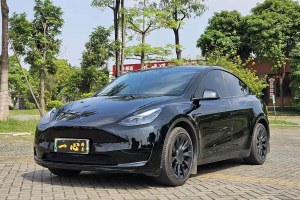 Model Y 特斯拉 改款 后輪驅(qū)動版