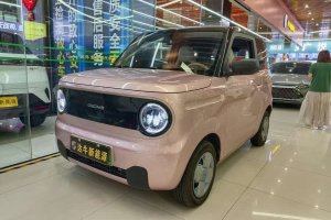 熊貓mini 吉利 200km 耐力熊
