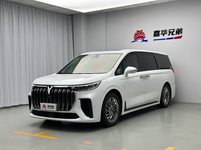 2024年1月 嵐圖 夢(mèng)想家 PHEV 超長(zhǎng)續(xù)航旗艦版圖片