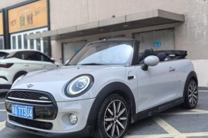 MINI MINI 1.5T COOPER CABRIO 藝術(shù)家