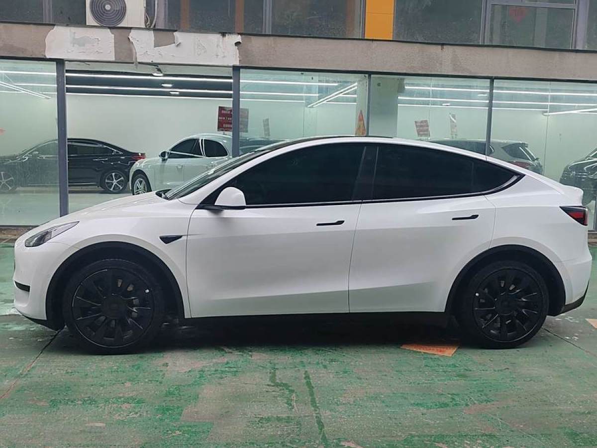 特斯拉 Model Y  2020款 改款 長續(xù)航后輪驅動版圖片