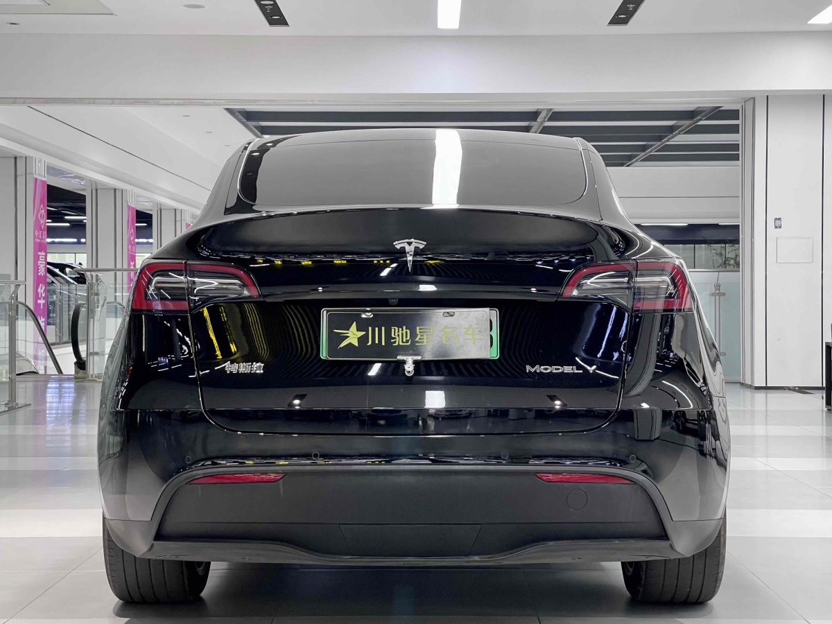 特斯拉 Model X  2016款 Model X 75D圖片