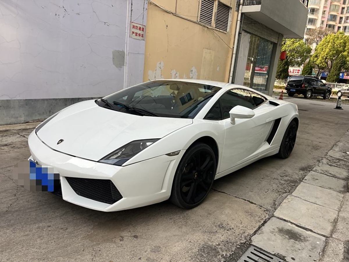 蘭博基尼 Gallardo  2010款 LP 550-2 標(biāo)準(zhǔn)版圖片