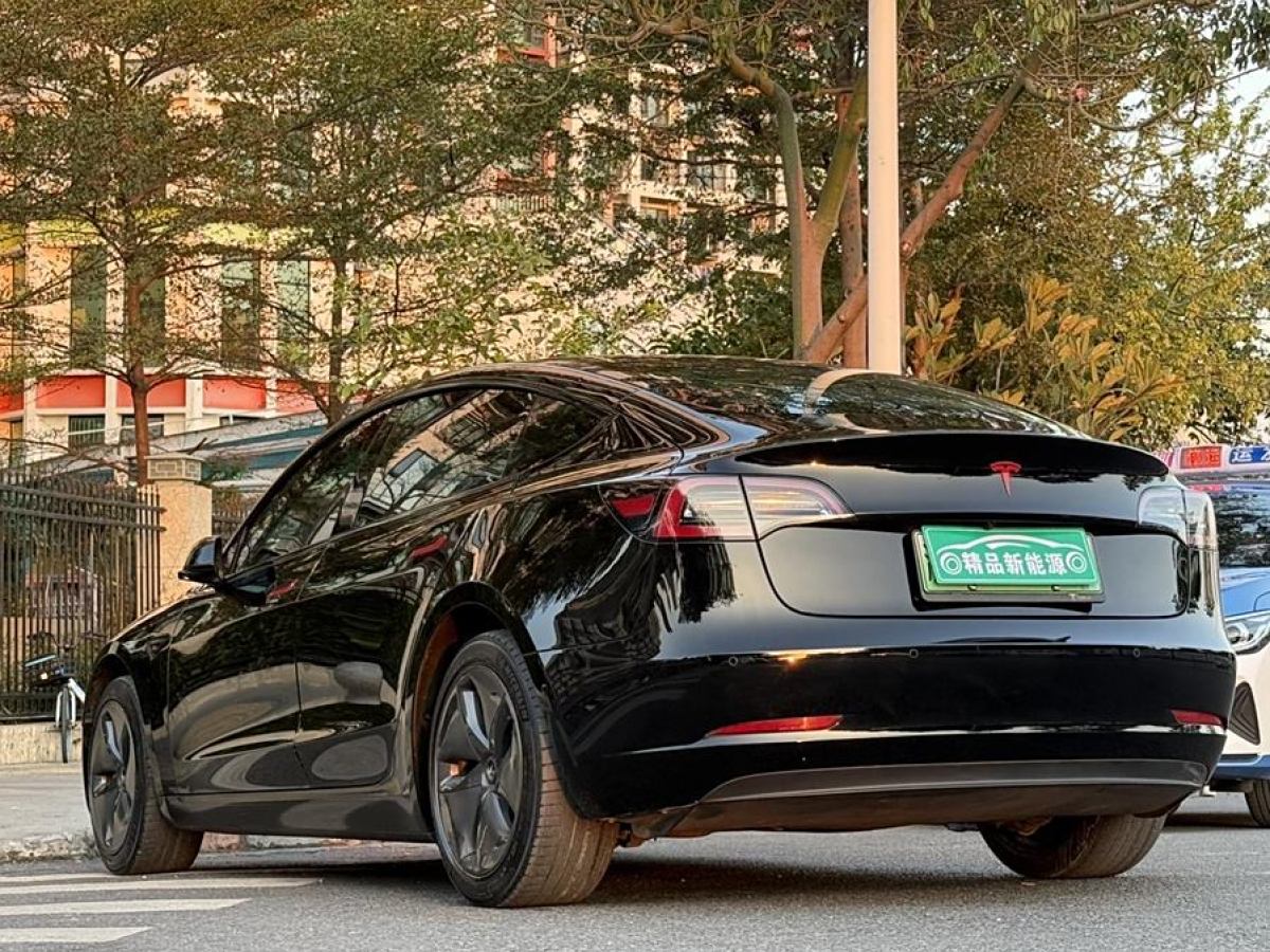 特斯拉 Model 3  2020款 改款 長續(xù)航后輪驅(qū)動版圖片