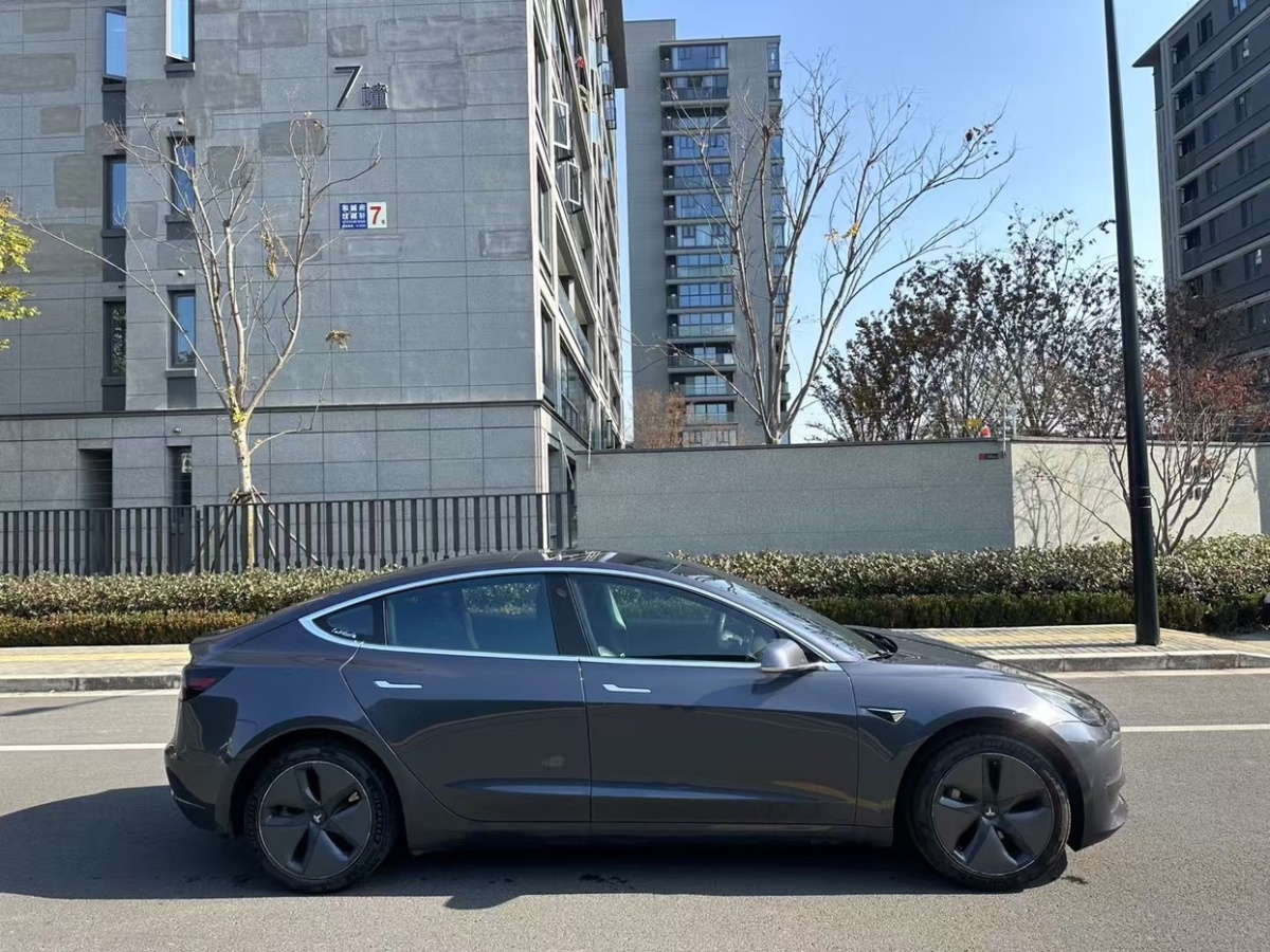 特斯拉 Model 3  2019款 Performance高性能全輪驅動版圖片