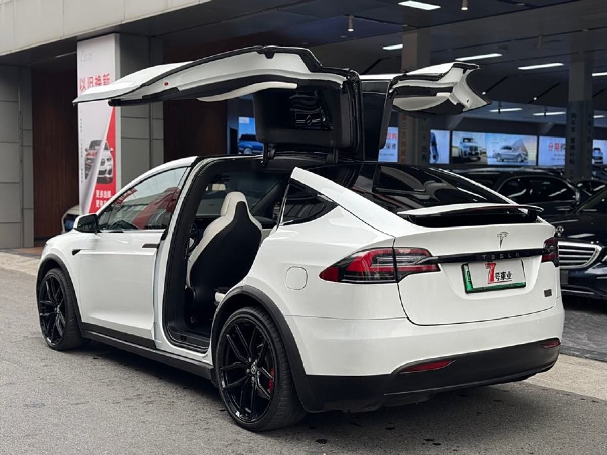 特斯拉 Model X  2019款 Performance 高性能版圖片