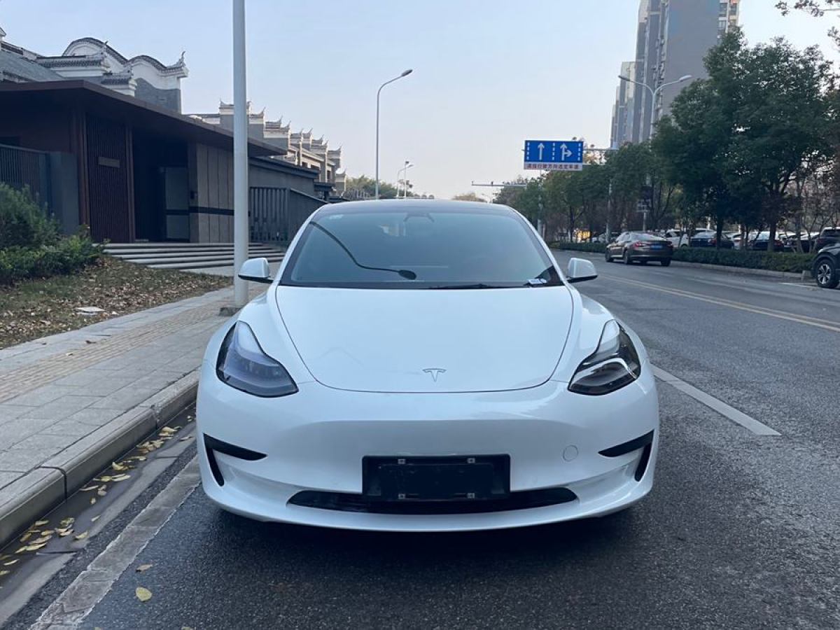 特斯拉 Model 3  2021款 改款 標(biāo)準(zhǔn)續(xù)航后驅(qū)升級(jí)版圖片