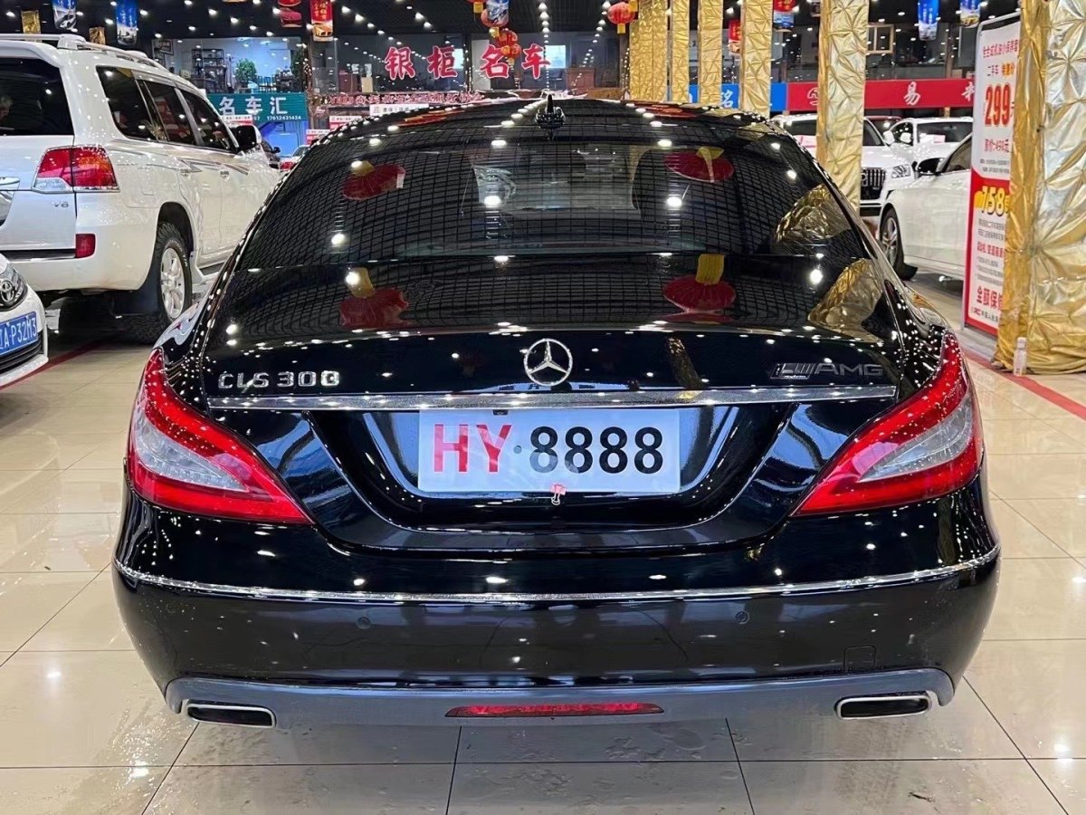 奔馳 奔馳CLS級(jí)  2012款 CLS 300 CGI圖片