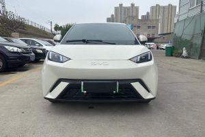 元Pro 比亞迪 320KM豪華型