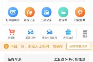 宋L 比亞迪 550km 卓越型