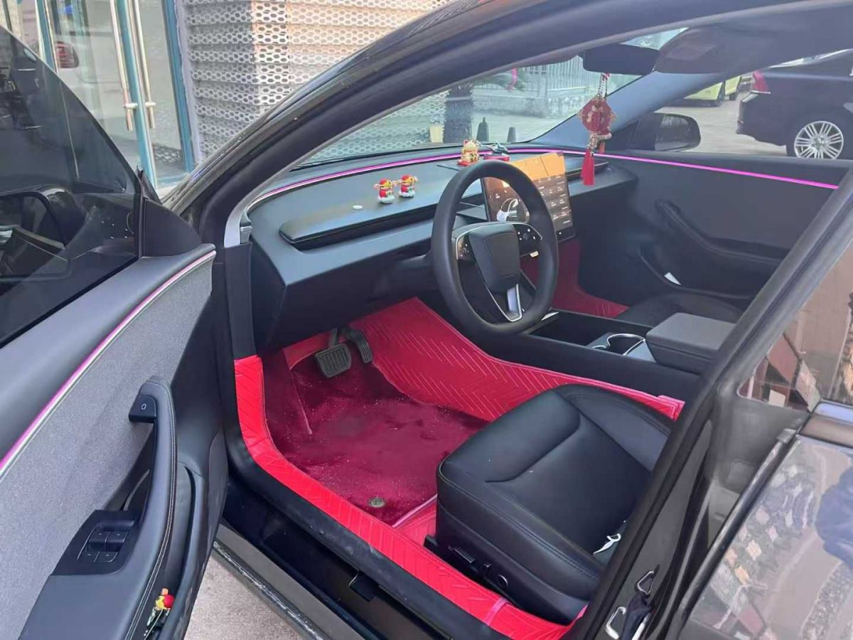 特斯拉 Model Y  2024款 Performance高性能版圖片
