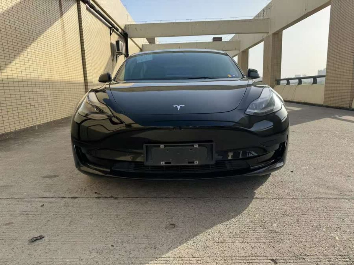 特斯拉 Model 3  2021款 改款 標(biāo)準(zhǔn)續(xù)航后驅(qū)升級版圖片