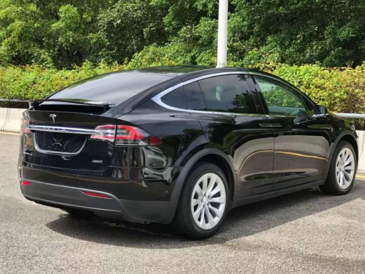 2019年5月特斯拉 Model X  2017款 Model X 100D 長續(xù)航版