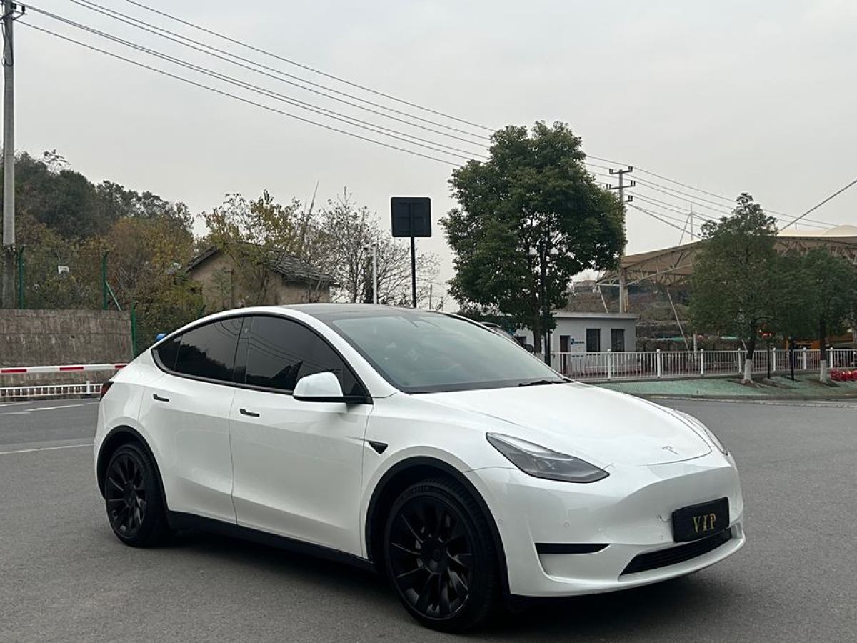 特斯拉 Model 3  2020款 改款 長續(xù)航后輪驅(qū)動版圖片