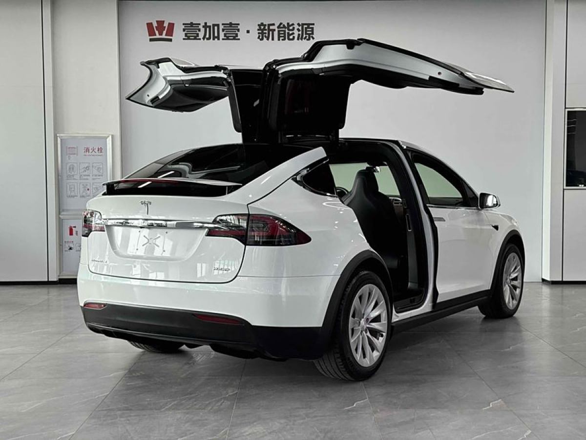 特斯拉 Model X  2017款 Model X 100D 長續(xù)航版圖片