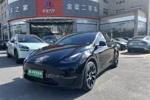 Model Y 特斯拉 长续航焕新版 双电机全轮驱动