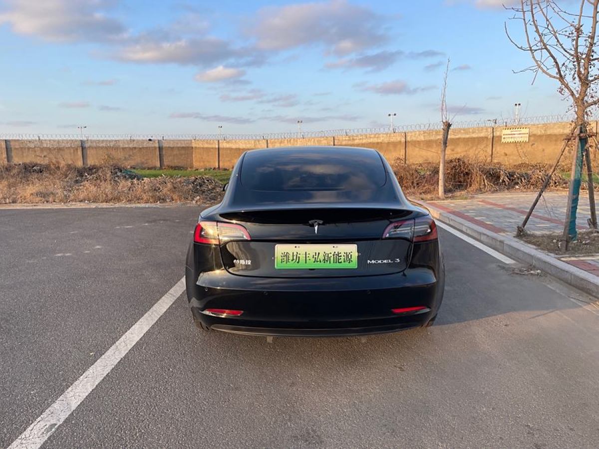 特斯拉 Model 3  2021款 改款 標(biāo)準(zhǔn)續(xù)航后驅(qū)升級(jí)版圖片