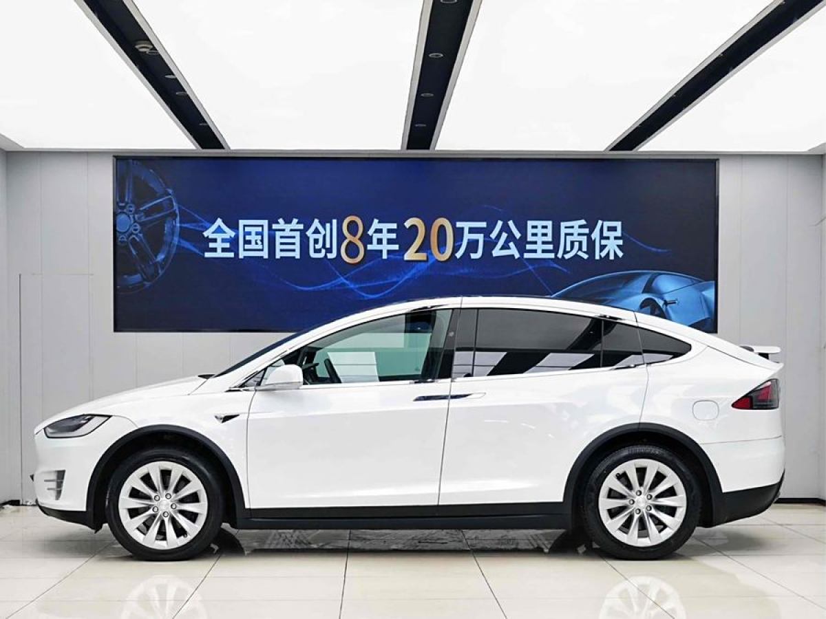 2019年7月特斯拉 Model X  2019款 長(zhǎng)續(xù)航版