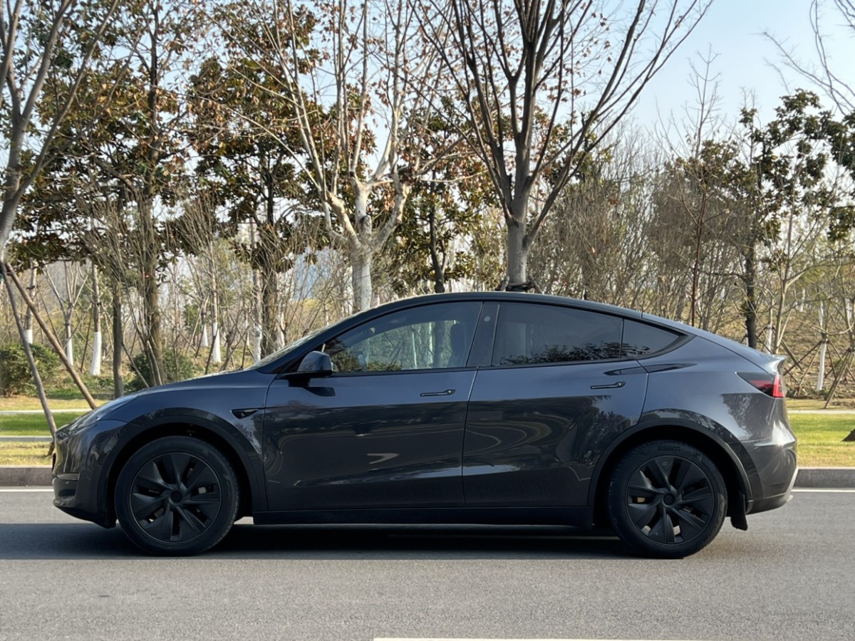 特斯拉 Model Y  2024款 長續(xù)航全輪驅動版圖片