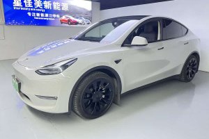 Model Y 特斯拉 標準續(xù)航后驅(qū)版