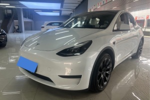 Model Y 特斯拉 后輪驅(qū)動版