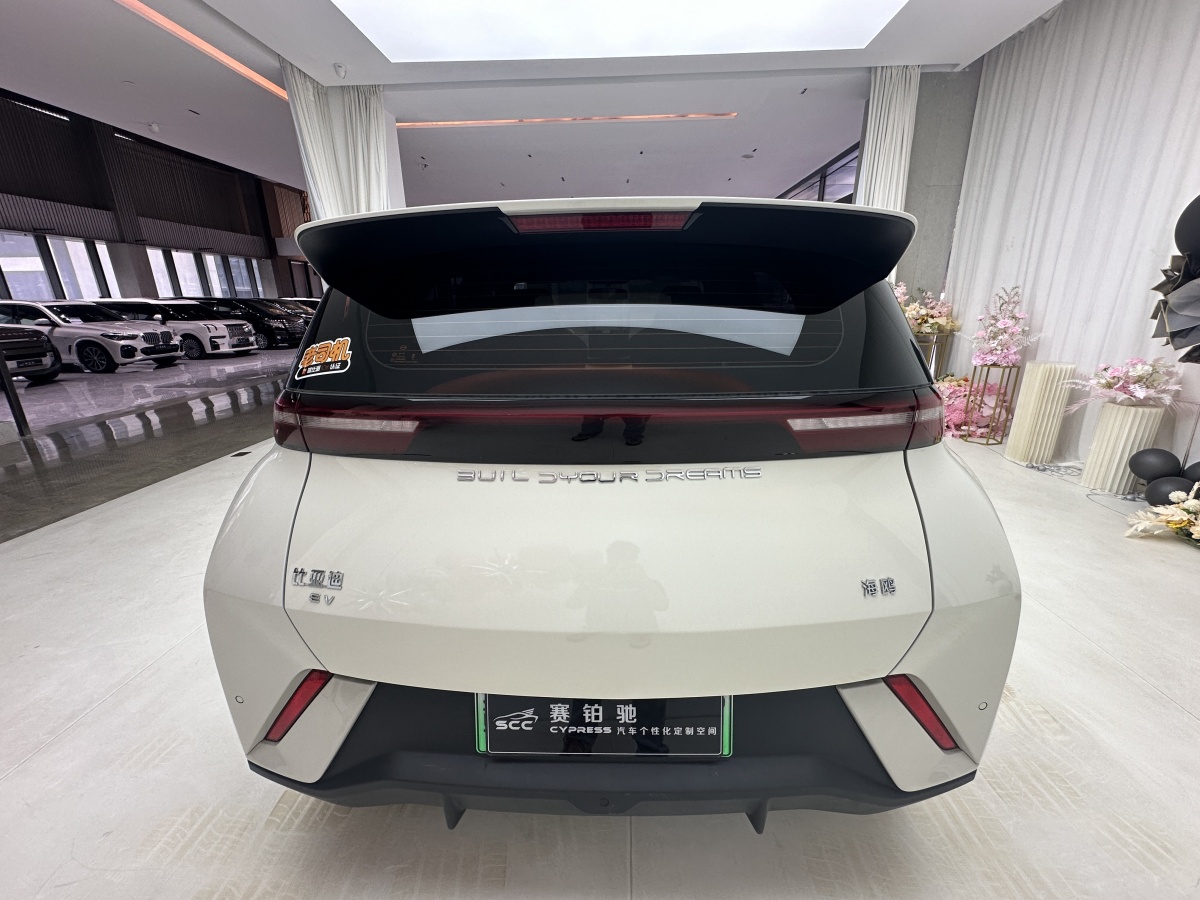 比亞迪 海鷗  2023款 活力版圖片