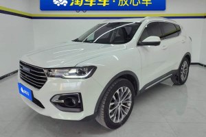 H6 哈弗 藍(lán)標(biāo) 1.5GDIT 自動冠軍版