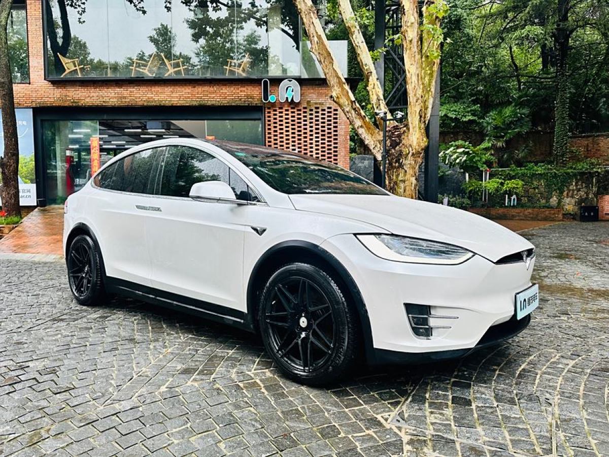 特斯拉 Model X  2019款 長續(xù)航版圖片