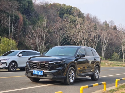 2022年11月 本田 CR-V 240TURBO 兩驅(qū)智領(lǐng)版圖片