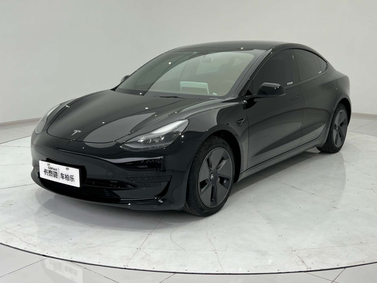 特斯拉 Model 3  2019款 标准续航后驱升级版图片