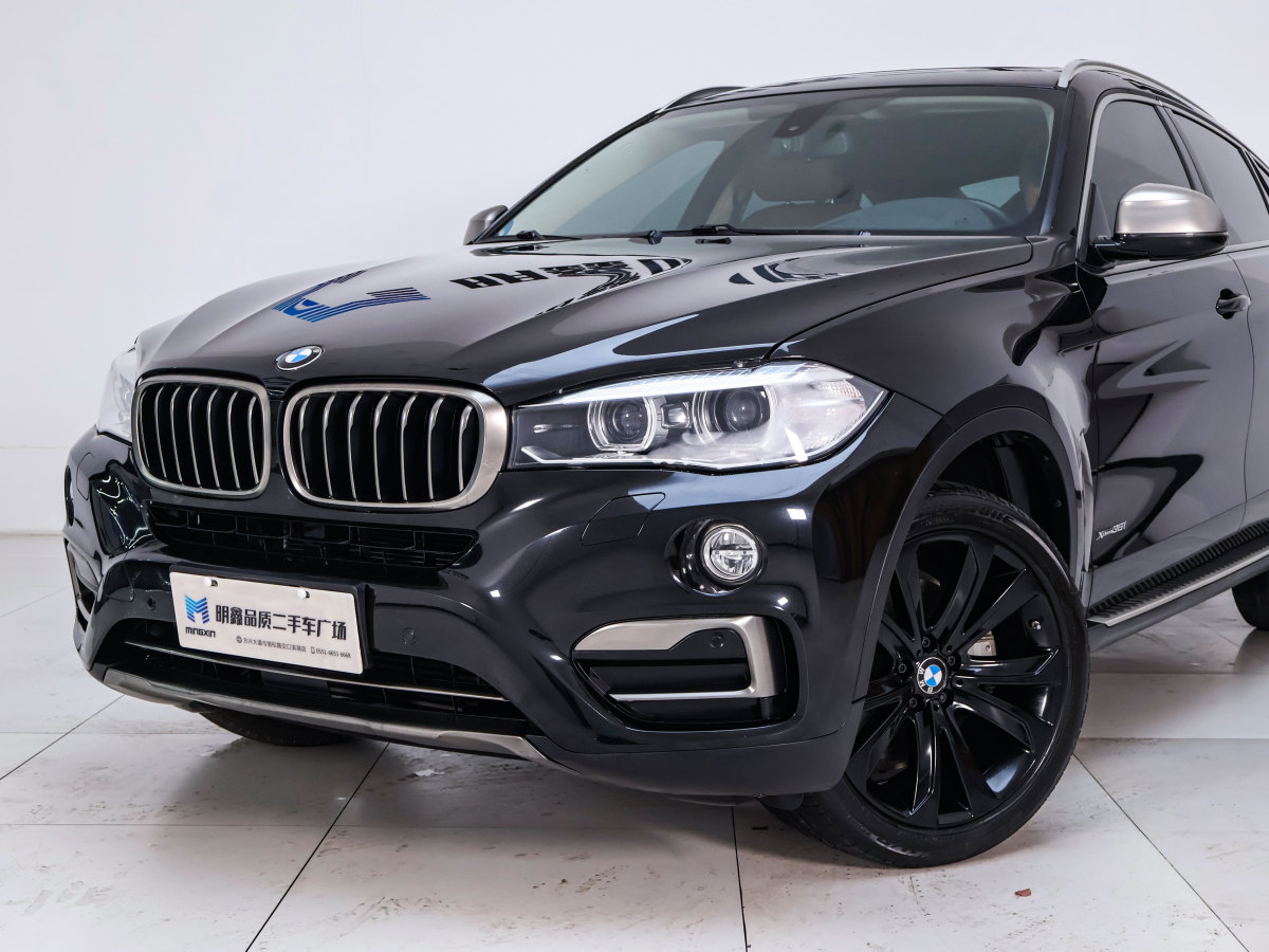 寶馬 寶馬X6  2018款 xDrive35i 領(lǐng)先型圖片