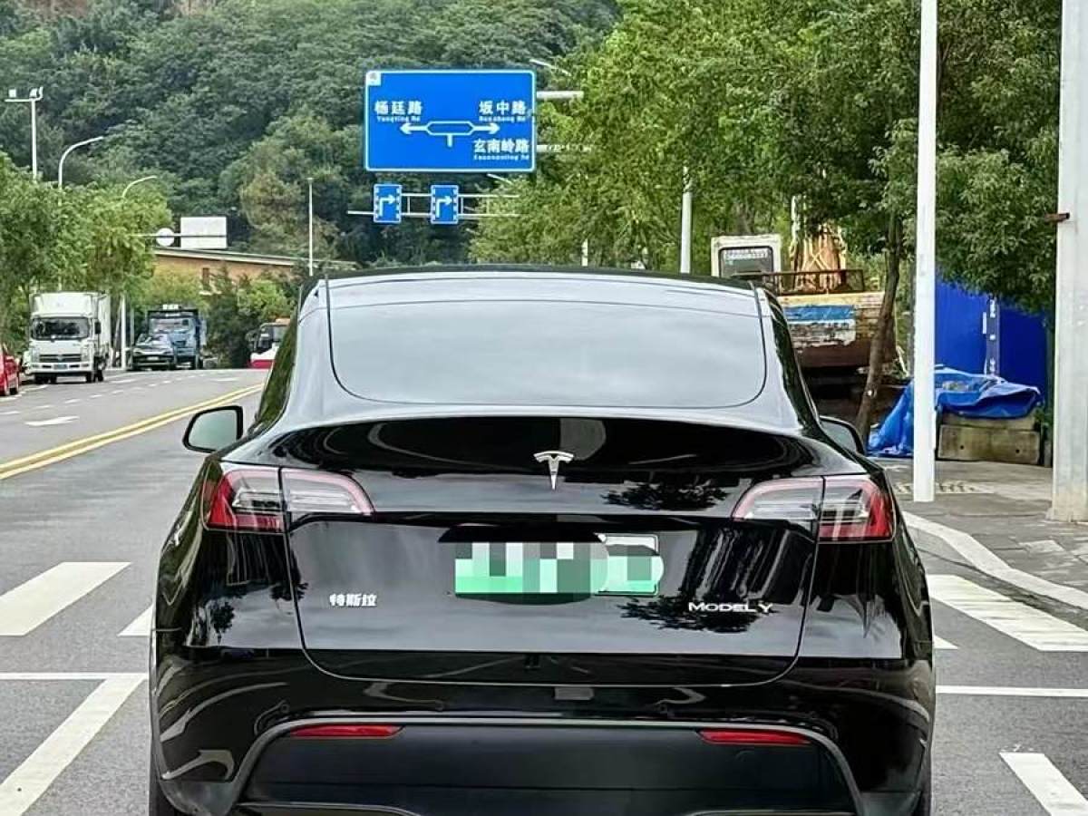 特斯拉 Model 3  2020款 改款 長續(xù)航后輪驅(qū)動版圖片