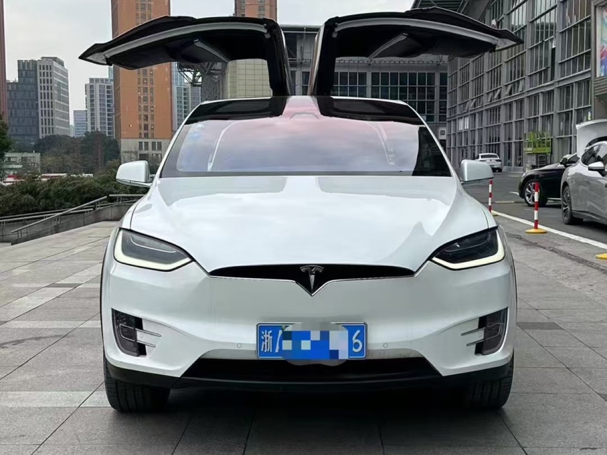 特斯拉 Model X  2017款 Model X 100D 長(zhǎng)續(xù)航版圖片