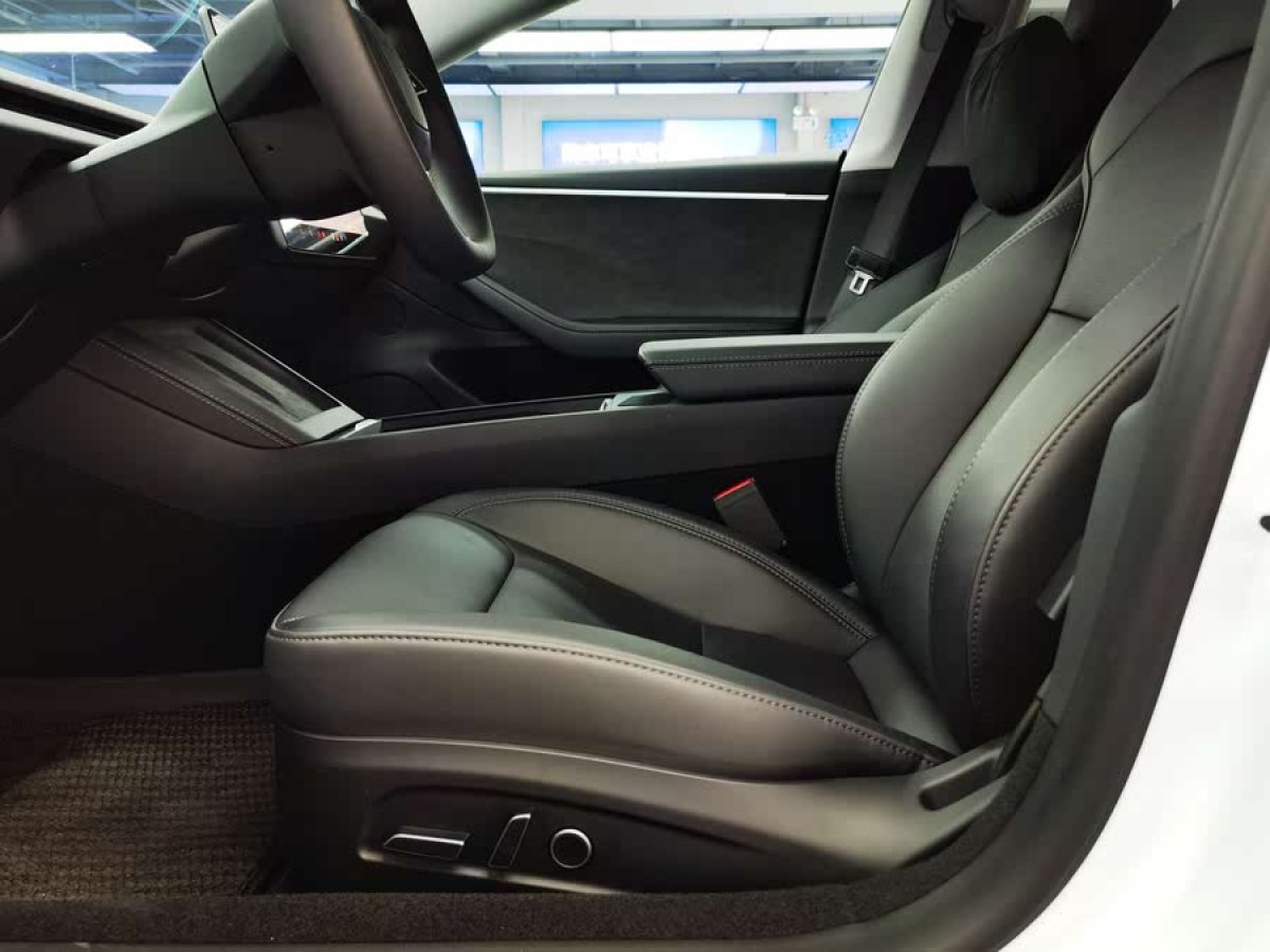 特斯拉 Model 3  2019款 長續(xù)航全輪驅(qū)動(dòng)版圖片