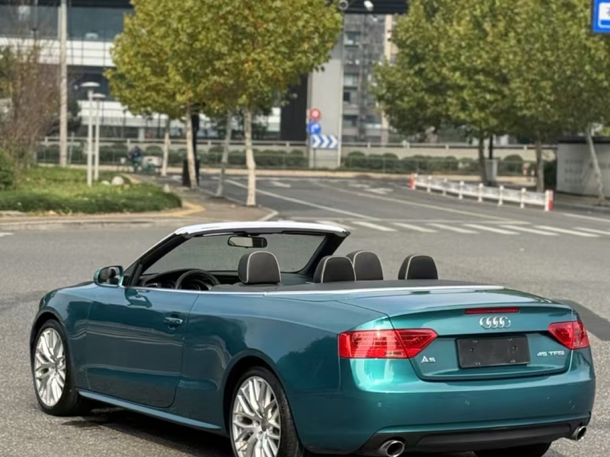 奧迪 奧迪A5  2014款 Cabriolet 45 TFSI quattro風尚版圖片