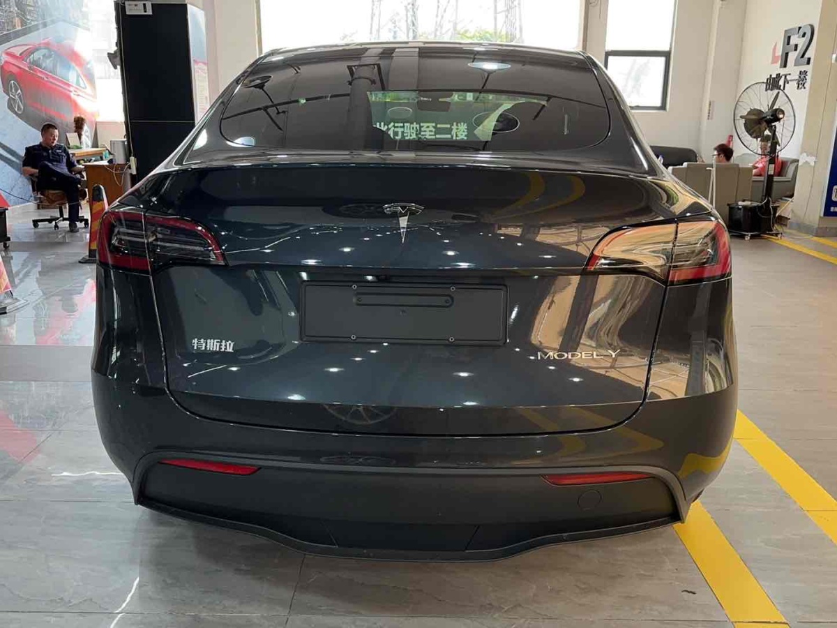 特斯拉 Model Y  2020款 改款 長續(xù)航后輪驅(qū)動版圖片