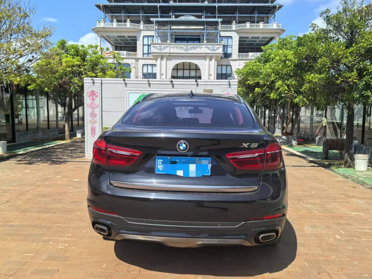 寶馬 寶馬X6  2018款 xDrive35i 領(lǐng)先型圖片