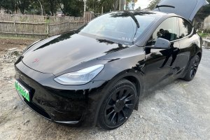 Model Y 特斯拉 后轮驱动版