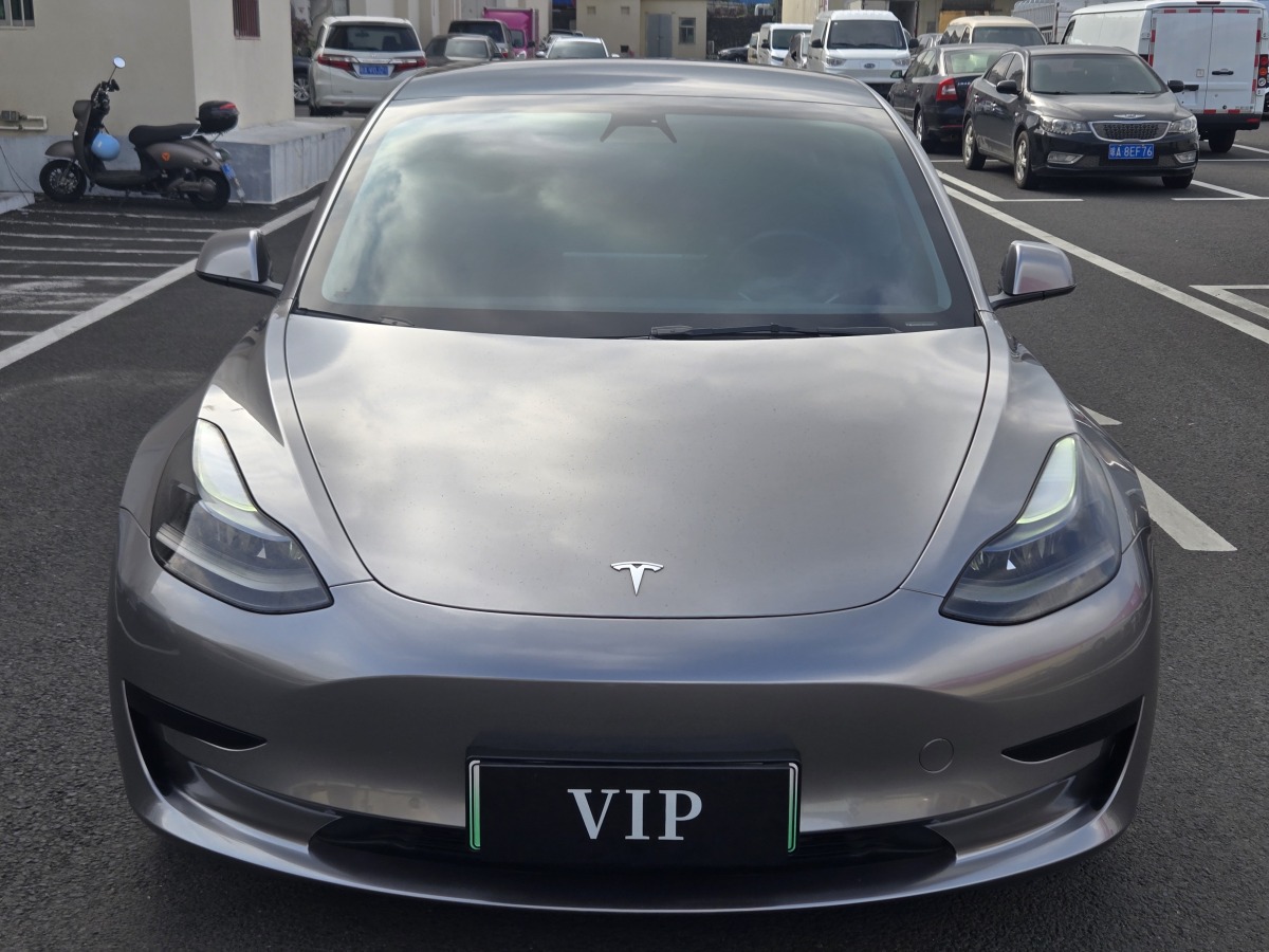 特斯拉 Model 3  2021款 標(biāo)準(zhǔn)續(xù)航后驅(qū)升級(jí)版 3D6圖片