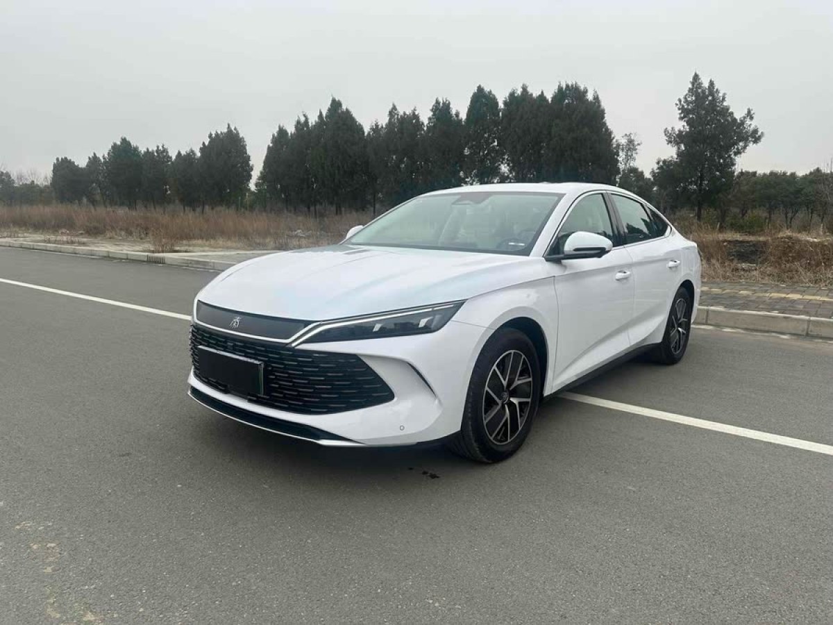 比亞迪 秦L  2024款 DM-i 120KM超越型圖片