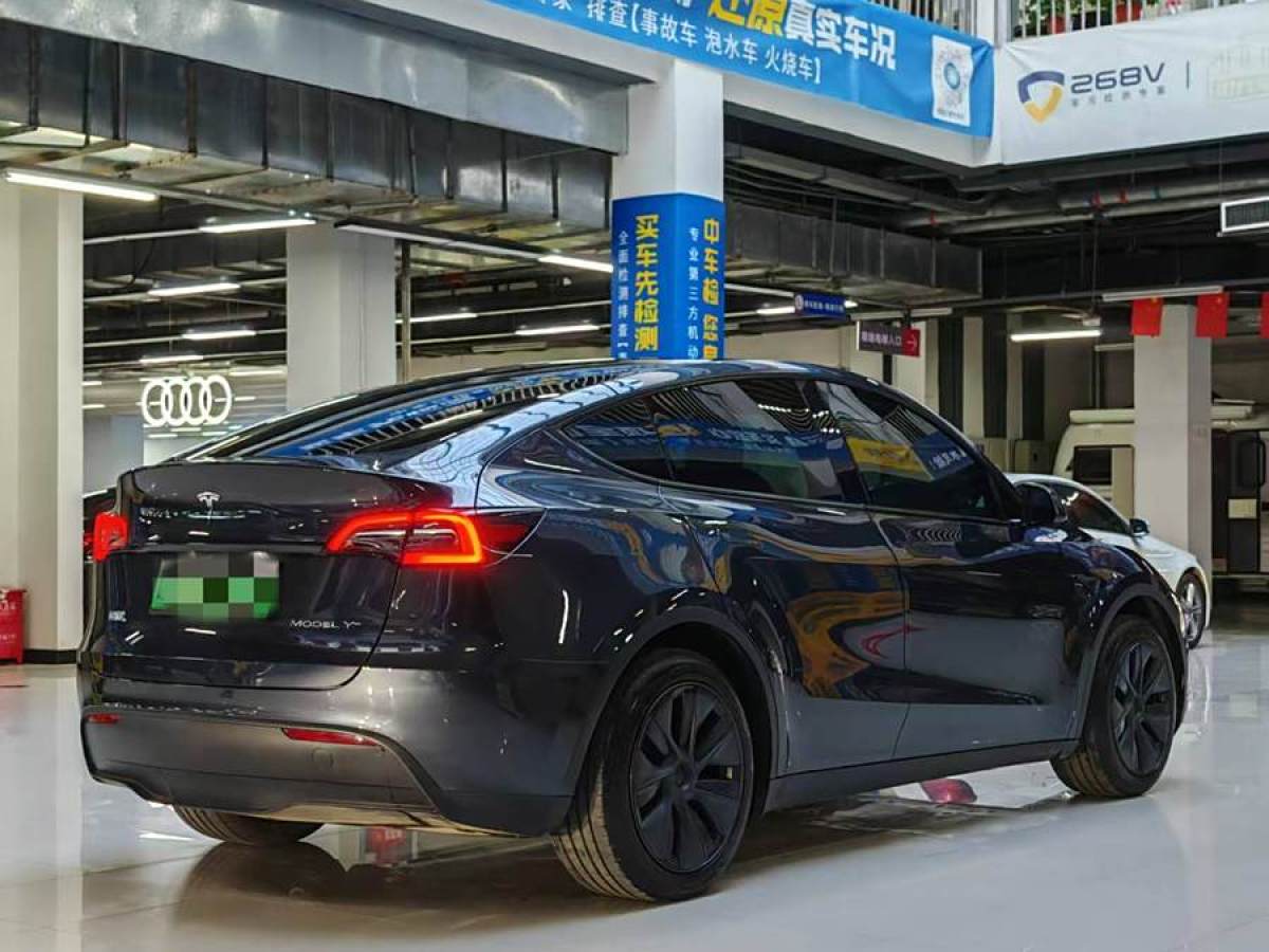 特斯拉 Model 3  2020款 改款 長續(xù)航后輪驅(qū)動版圖片