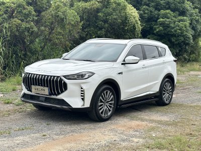 2023年3月 捷途 捷途X70 PLUS 1.6T DCT强者PLUS 7座图片