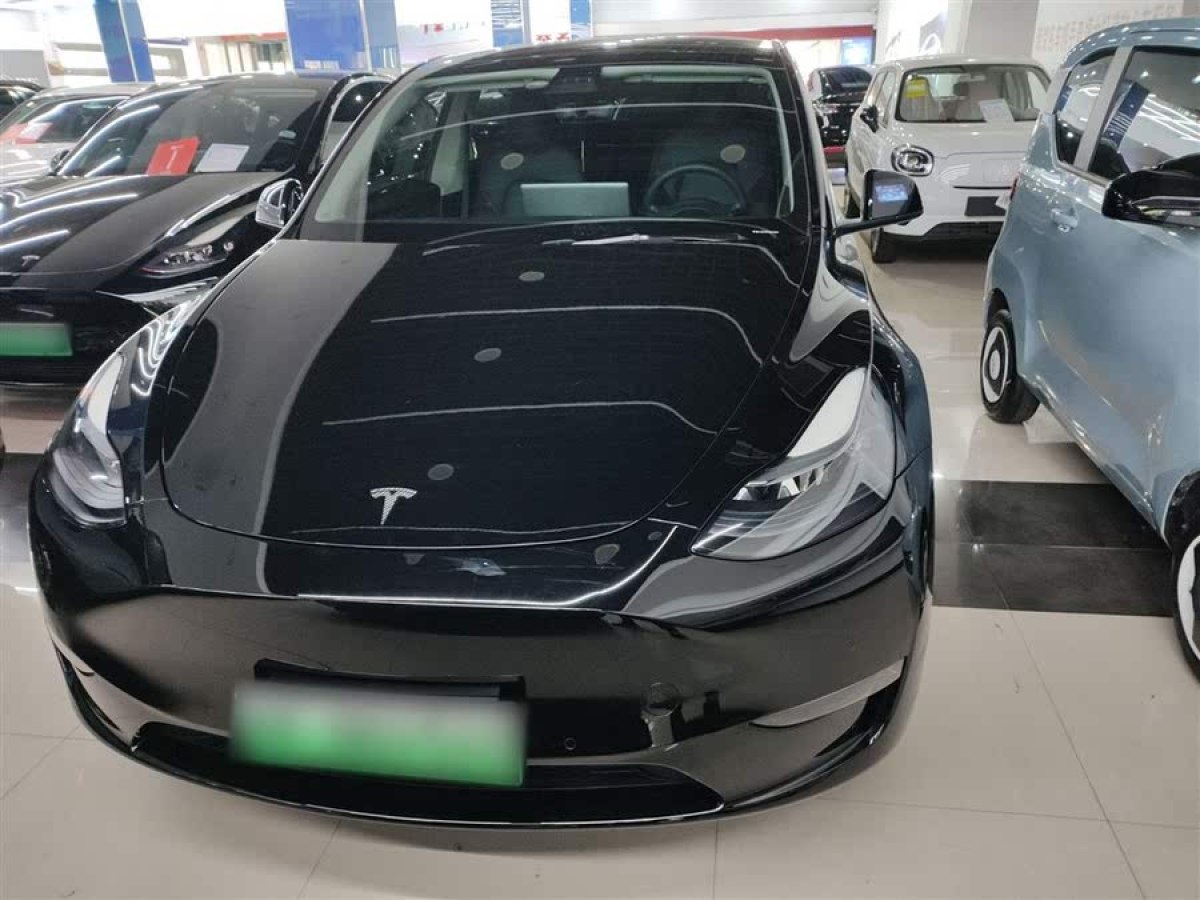 特斯拉 Model Y  2021款 標(biāo)準(zhǔn)續(xù)航后驅(qū)版圖片