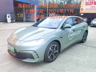 2024年11月 比亞迪 海豹06GT 605熱浪版圖片