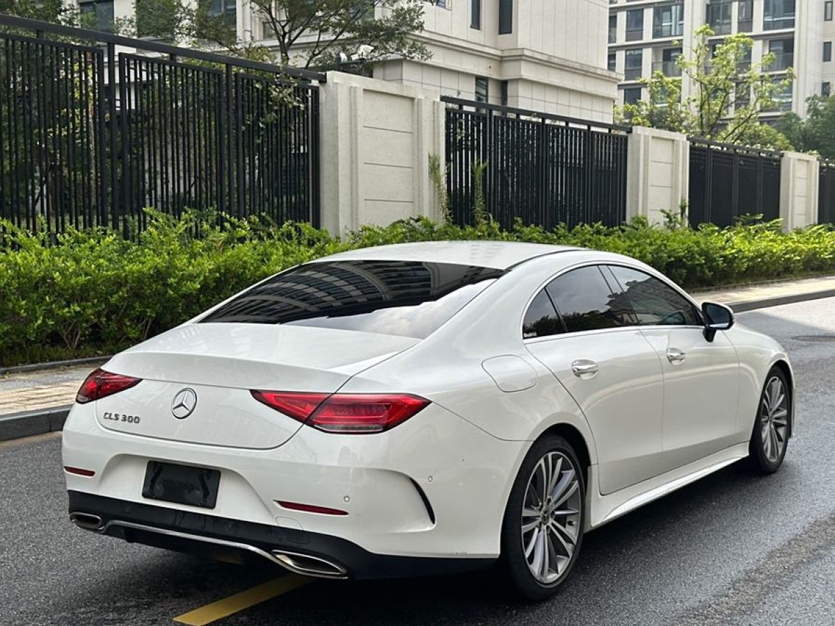 奔馳 奔馳CLS級(jí)  2020款 CLS 300 豪華型圖片