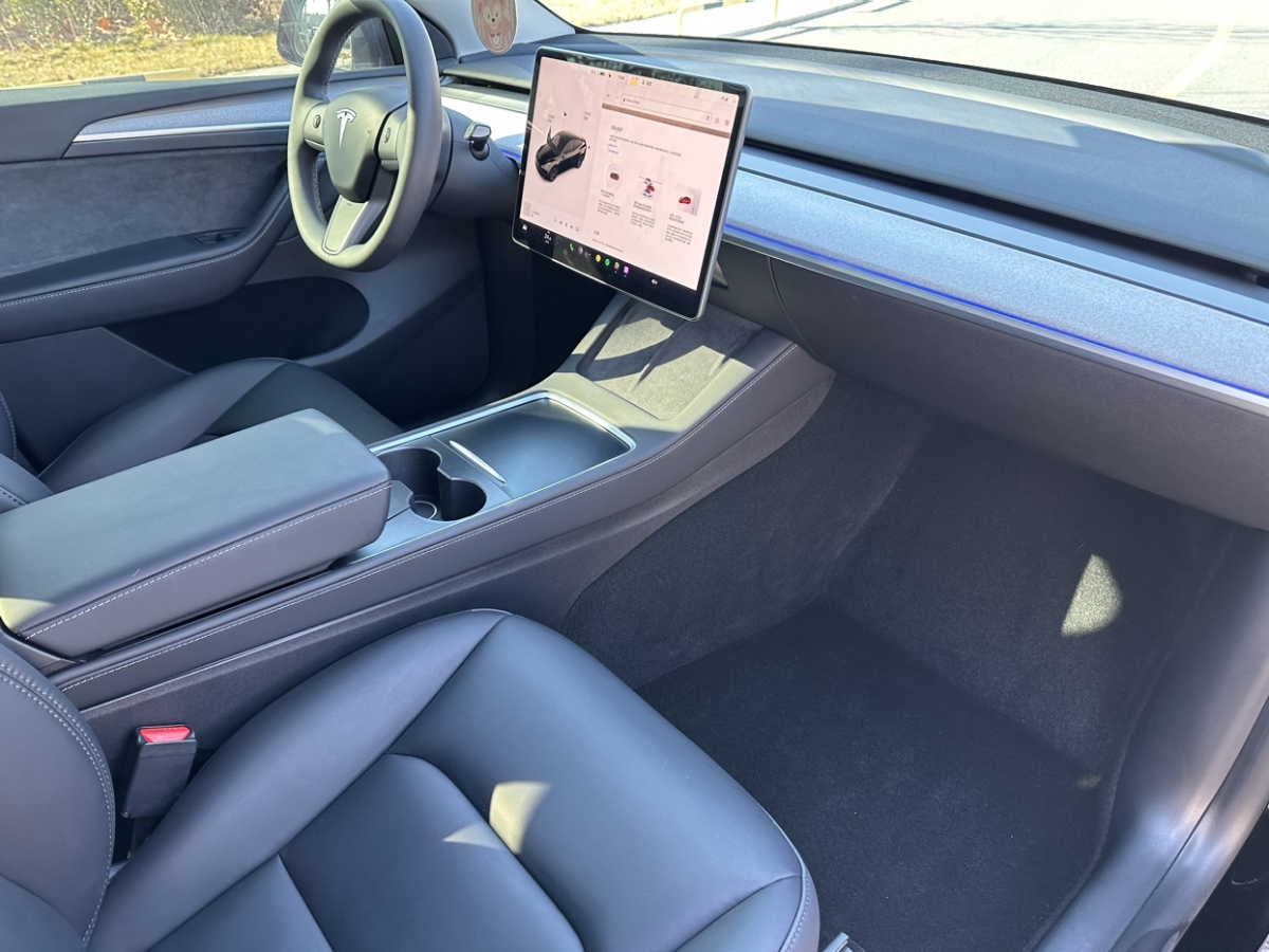 特斯拉 Model Y  2024款 后輪驅動版圖片