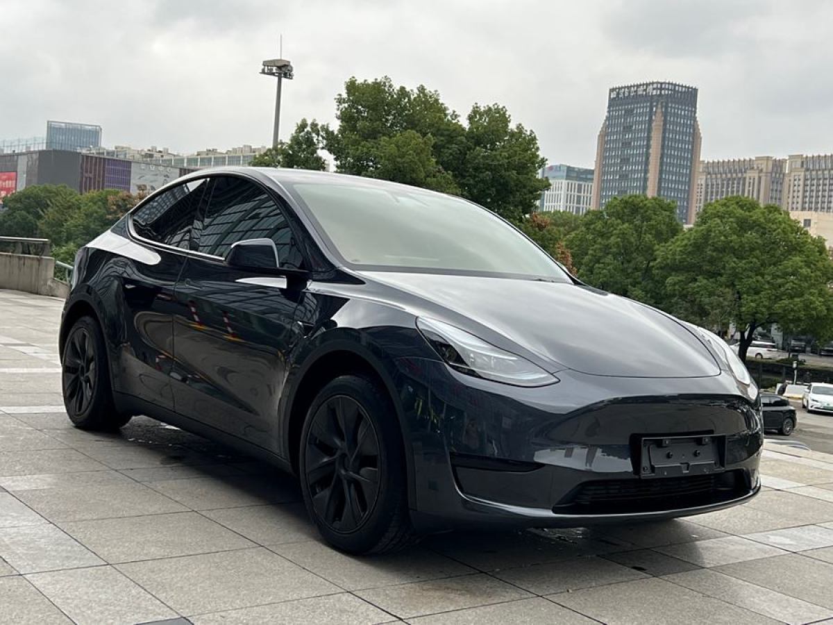 特斯拉 Model 3  2020款 改款 長續(xù)航后輪驅(qū)動版圖片