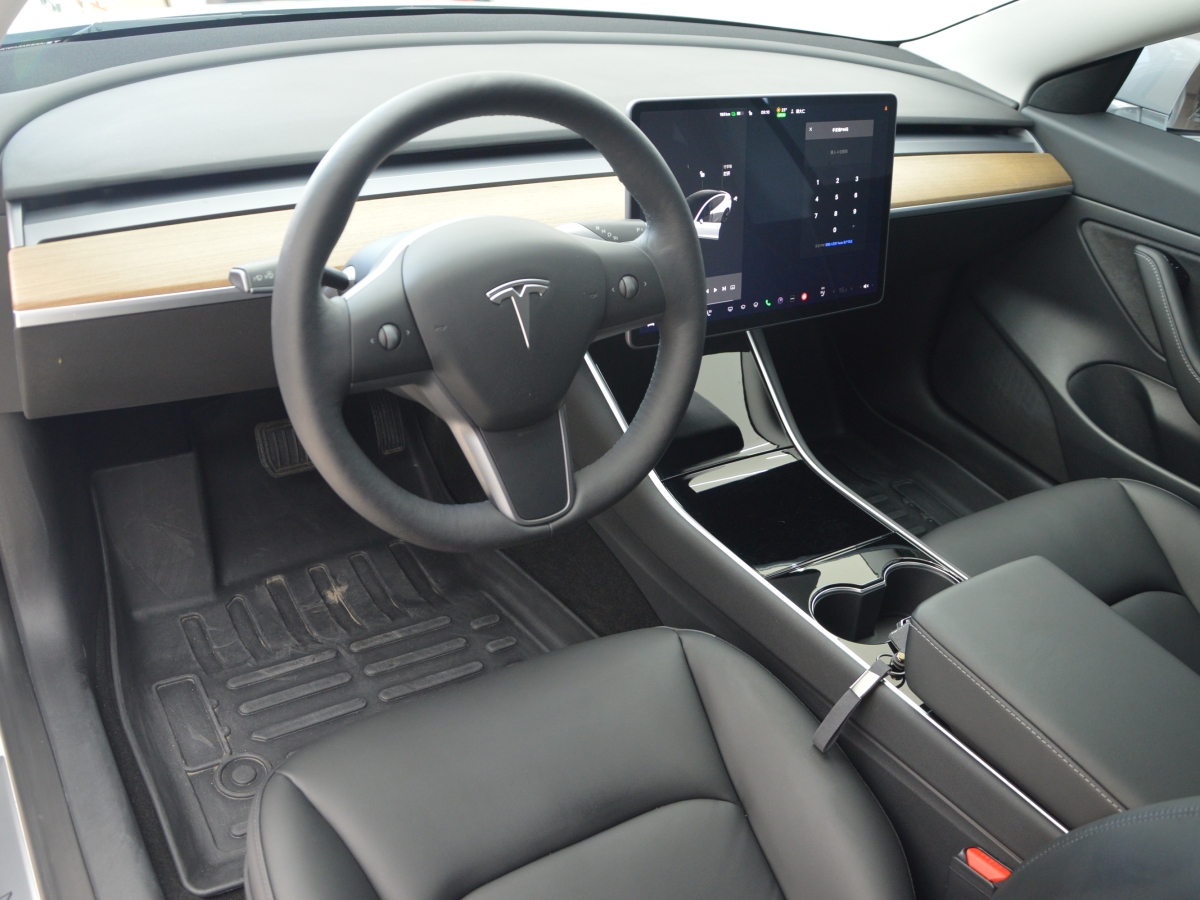 特斯拉 Model 3  2019款 标准续航后驱升级版图片