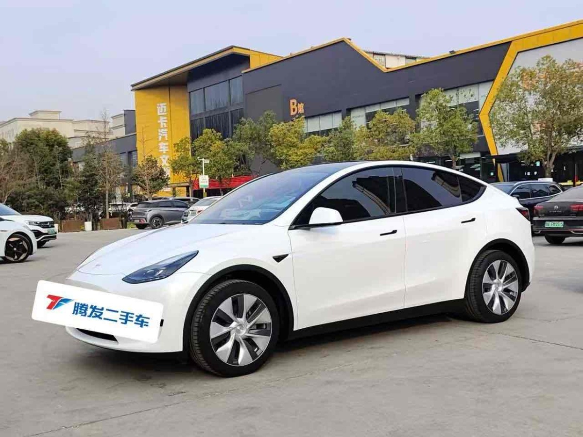 特斯拉 Model 3  2022款 后輪驅(qū)動版圖片