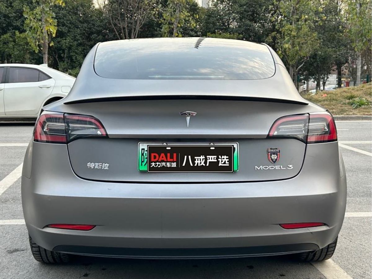 特斯拉 Model 3  2021款 標(biāo)準(zhǔn)續(xù)航后驅(qū)升級(jí)版 3D6圖片